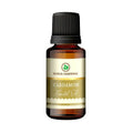 Korus Essential Cardamom Essential Oil - Therapeutic Grade | Grocsy