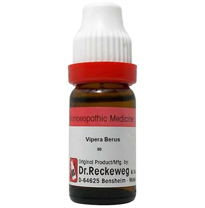 Dr. Reckeweg Vipera Berus Dilution | Grocsy