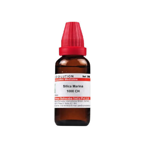 Dr. Willmar Schwabe India Silica Marina Dilution | Grocsy