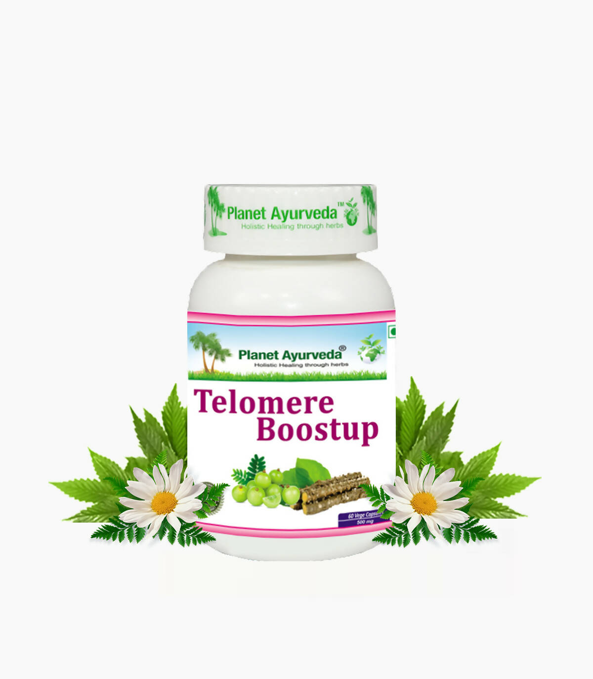 Planet Ayurveda Telomere Boostup Capsules | Grocsy