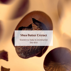 L'Occitane Shea Butter Ultra Rich Hands & Body Wash | Grocsy