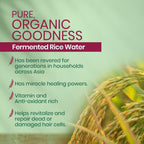 Kesh King Organics - Organic Fermented Rice Water Shampoo | Grocsy