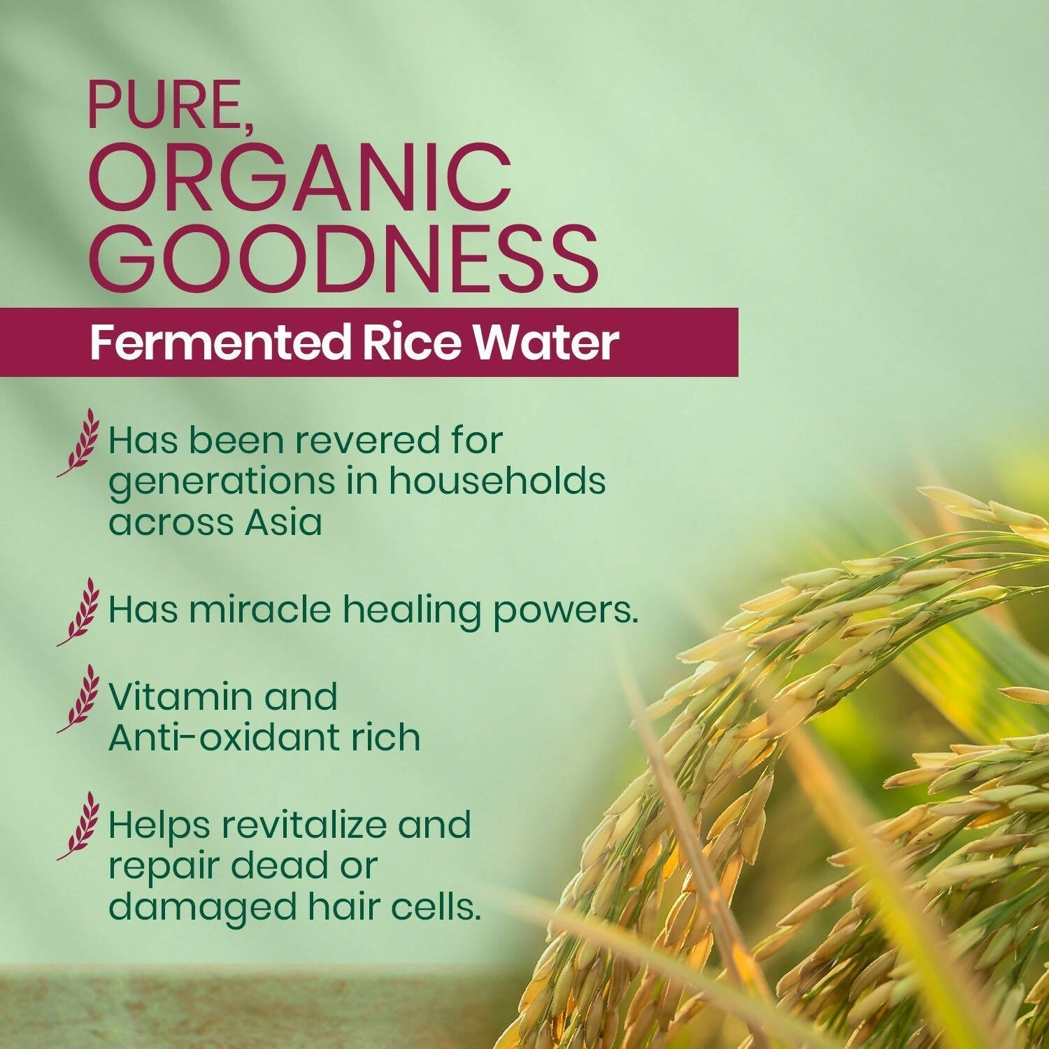 Kesh King Organics - Organic Fermented Rice Water Shampoo | Grocsy