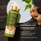 Lotus Botanicals Ginger Root Dandruff-control Shampoo | Grocsy