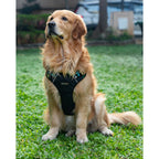 Waggety Adjustable Full Body Dog Harness - Comfortable Fit, Lightweight Polyester, Black | Grocsy