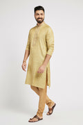Ethnic India Green Men's Kurta Woven Design Polyester | Grocsy
