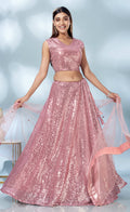 Pink Net Heavy Sequence work Lehenga Choli with Dupatta - Tanya | Grocsy