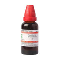 Dr. Willmar Schwabe India Gaultheria Procumbens Mother Tincture Q | Grocsy