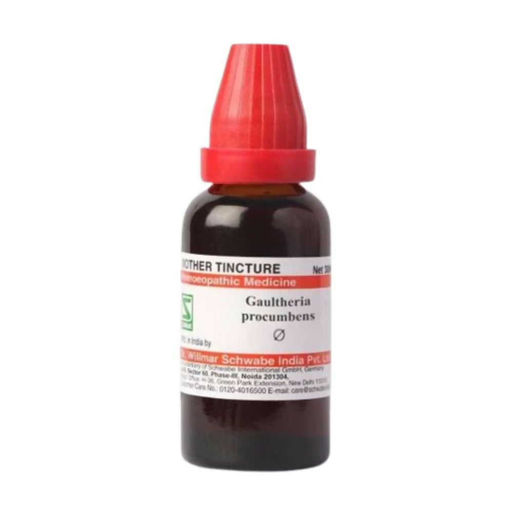 Dr. Willmar Schwabe India Gaultheria Procumbens Mother Tincture Q | Grocsy