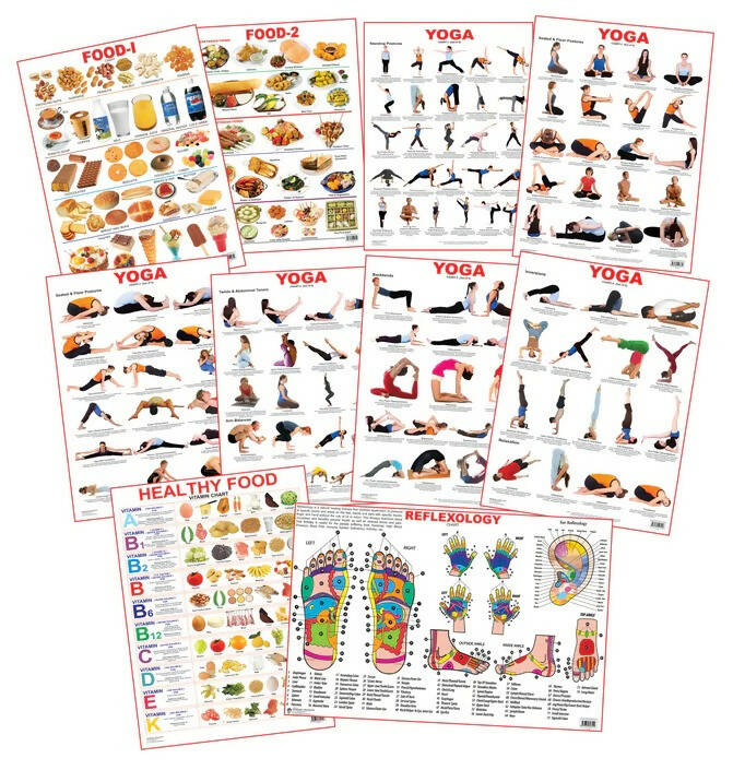 Dreamland Educational Charts - Combo 6 (10 Charts) : Children Early Learning Laminated Chart | Grocsy