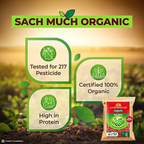 Aashirvaad Organic Rajma | Grocsy