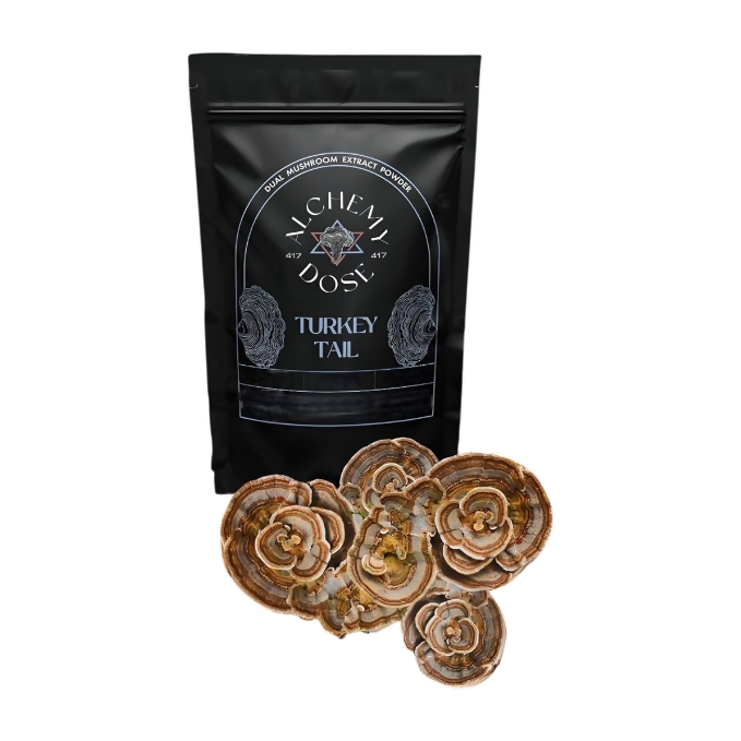 Alchemy Dose - Turkey Tail Mushroom Extract Powder | Grocsy