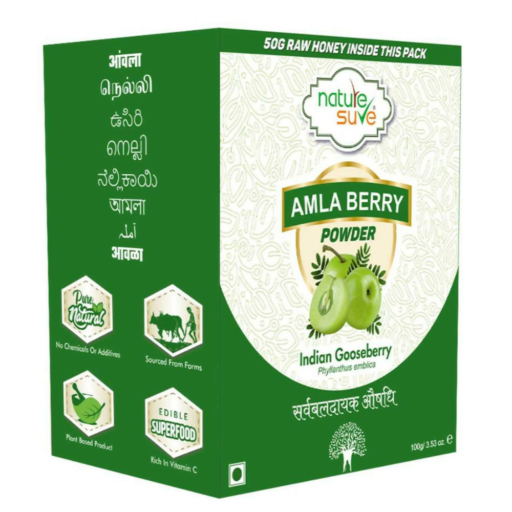 Nature Sure Amla Berry Powder | Grocsy
