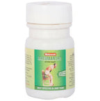 Baidyanath Jhansi Rheumartho With Salai Guggulu | Grocsy