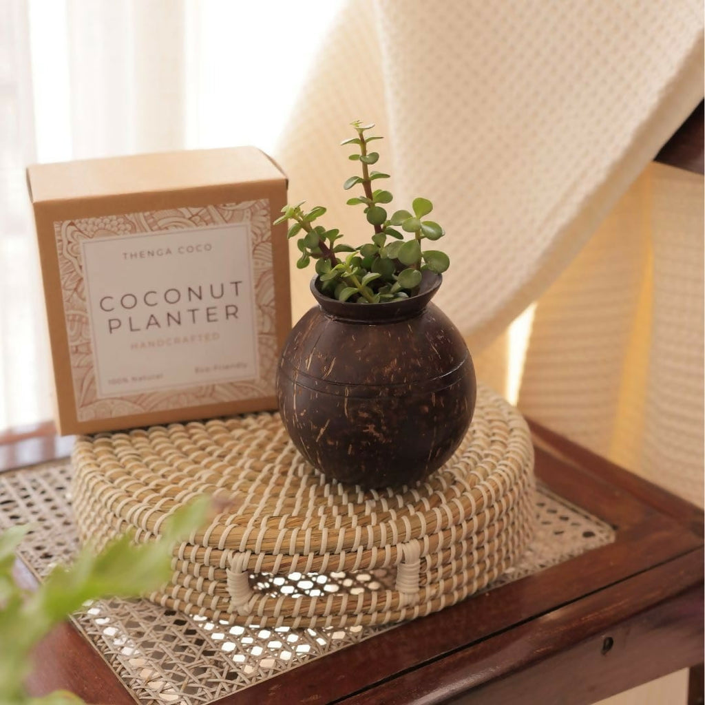 Thenga Handmade Coconut Shell Planter Pot with Cork Tray | Grocsy