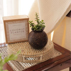 Thenga Handmade Coconut Shell Planter Pot with Cork Tray | Grocsy