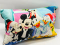Unique Fashion Microfibre Filled Cushion For Kids - Club House | Grocsy
