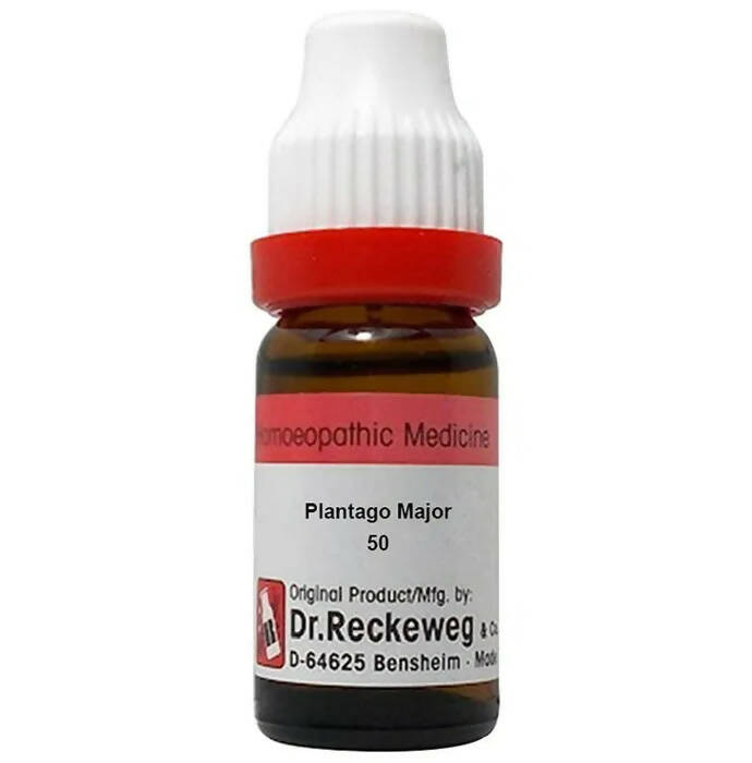 Dr. Reckeweg Plantago Major Dilution | Grocsy