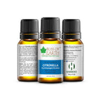 Bliss of Earth Premium Essential Oil Citronella | Grocsy