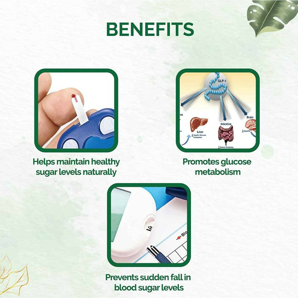 Dr. Vaidya's Diabex Capsules | Grocsy