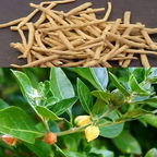 Village Organica Ashwagandha Powder | Grocsy