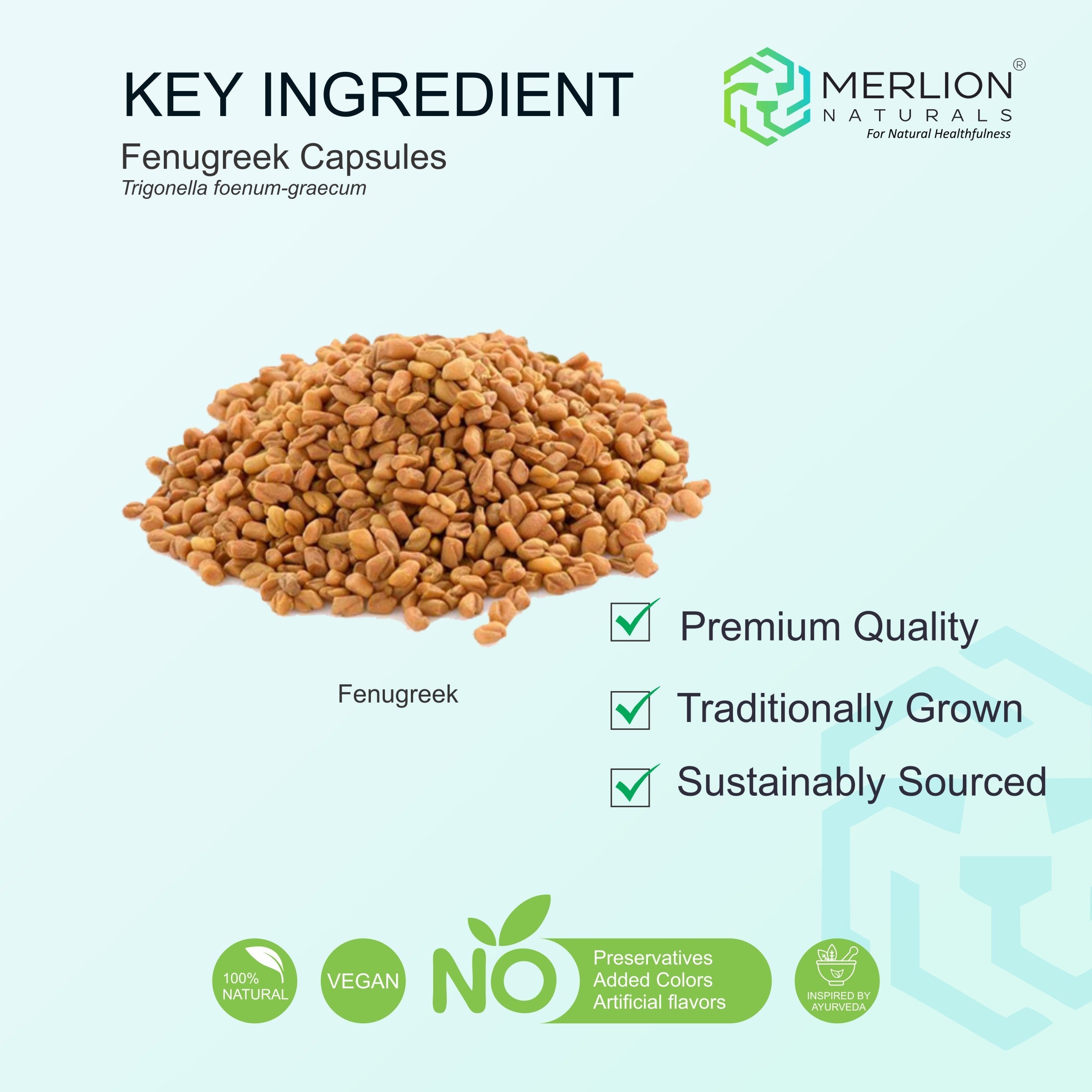 Merlion Naturals Fenugreek 1400mg Capsules | Grocsy