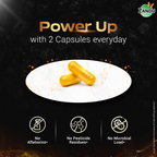 Zandu SJ Gold Plus Capsules | Grocsy