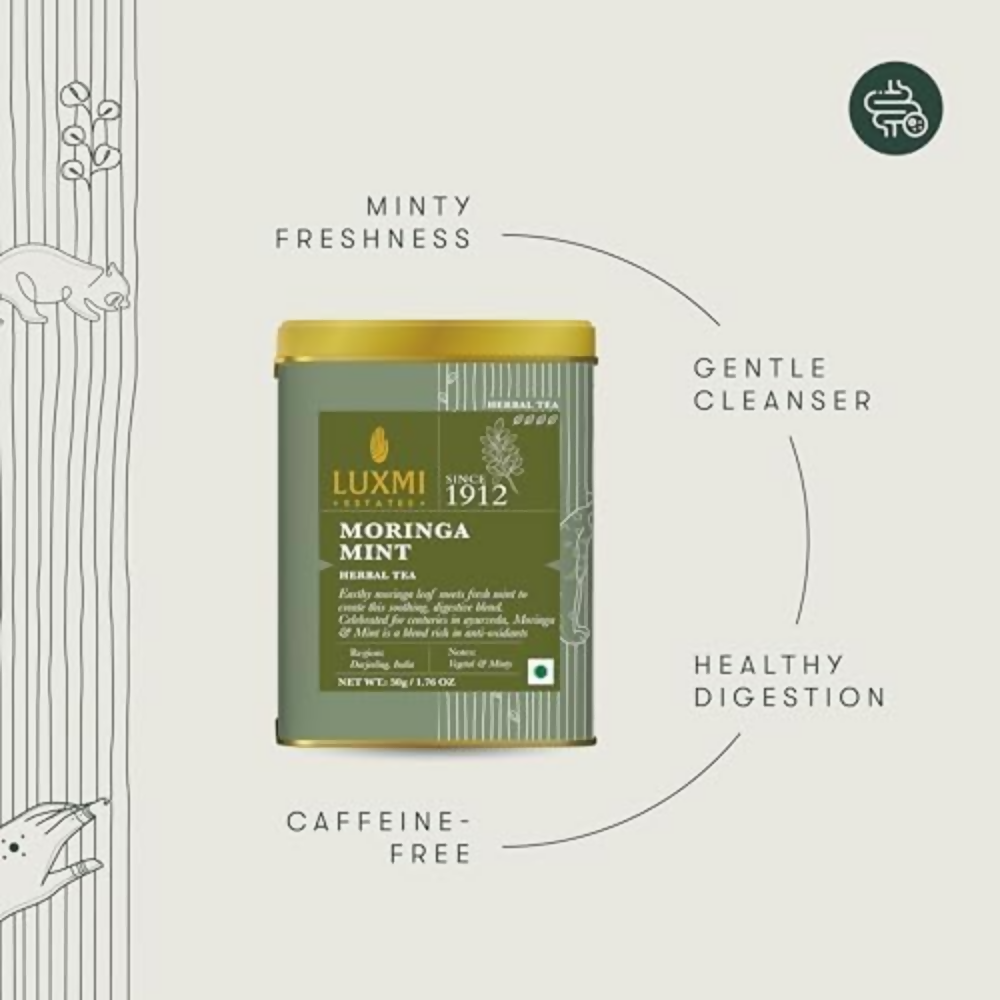 Luxmi Estates Moringa Mint Herbal Infusion | Grocsy