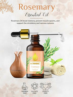 Nutriment Rosemary Essential Oil | Grocsy