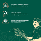 Better Nutrition Biofortified Fusilli / Wheat Pasta | Grocsy