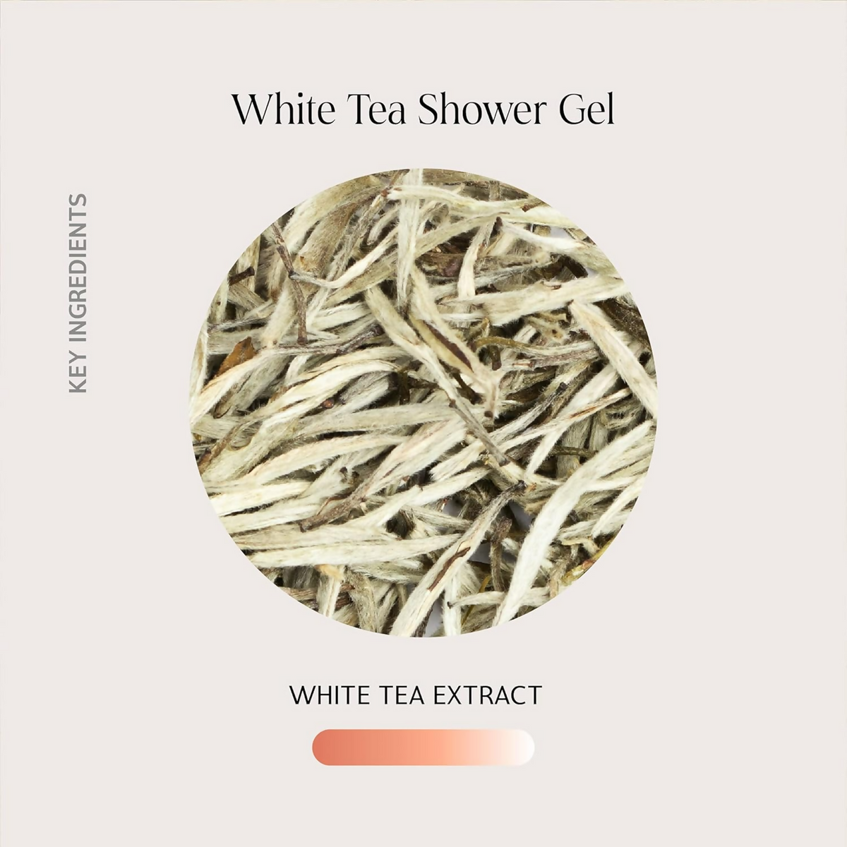 Oteria White Tea Body Shower Gel For Sun-Damaged Skin Suitable For All Skin Types | Grocsy
