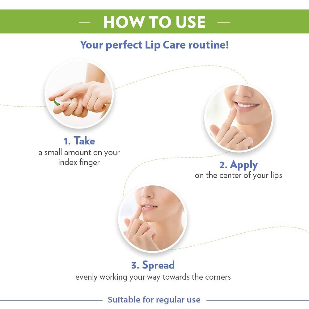 Vaseline Aloe Lip Therapy | Grocsy