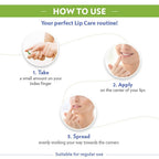 Vaseline Aloe Lip Therapy | Grocsy