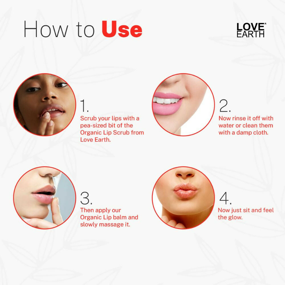 Love Earth Lip Saviour Kit for Skin Hydration & Moisturization, Chapped Lips With Bees Wax And Cocoa Butter | Grocsy