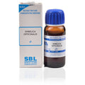 SBL Homeopathy Embelica Officinalis Mother Tincture Q | Grocsy