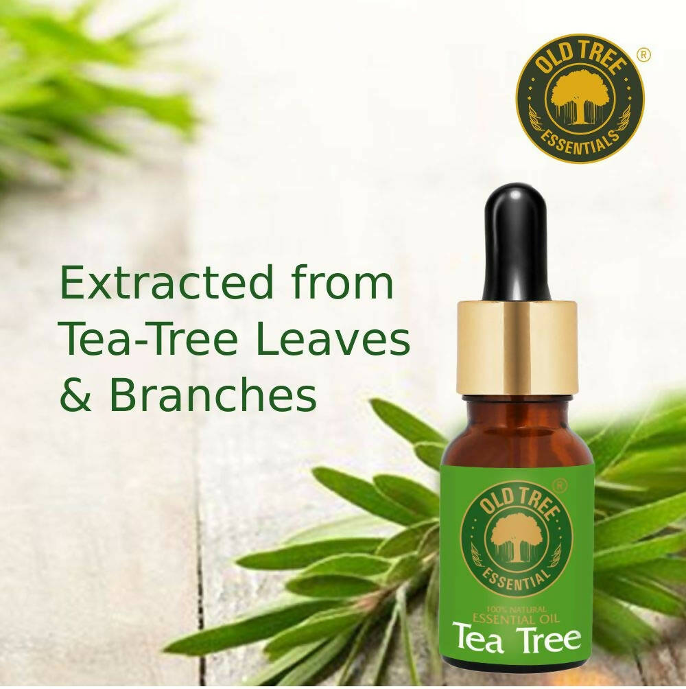 Old Tree Essential Pure & Natural Tea Tree Essential Oil | Grocsy