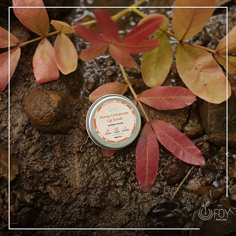 FOY Naturals Cinnamon Lip Scrub | Grocsy
