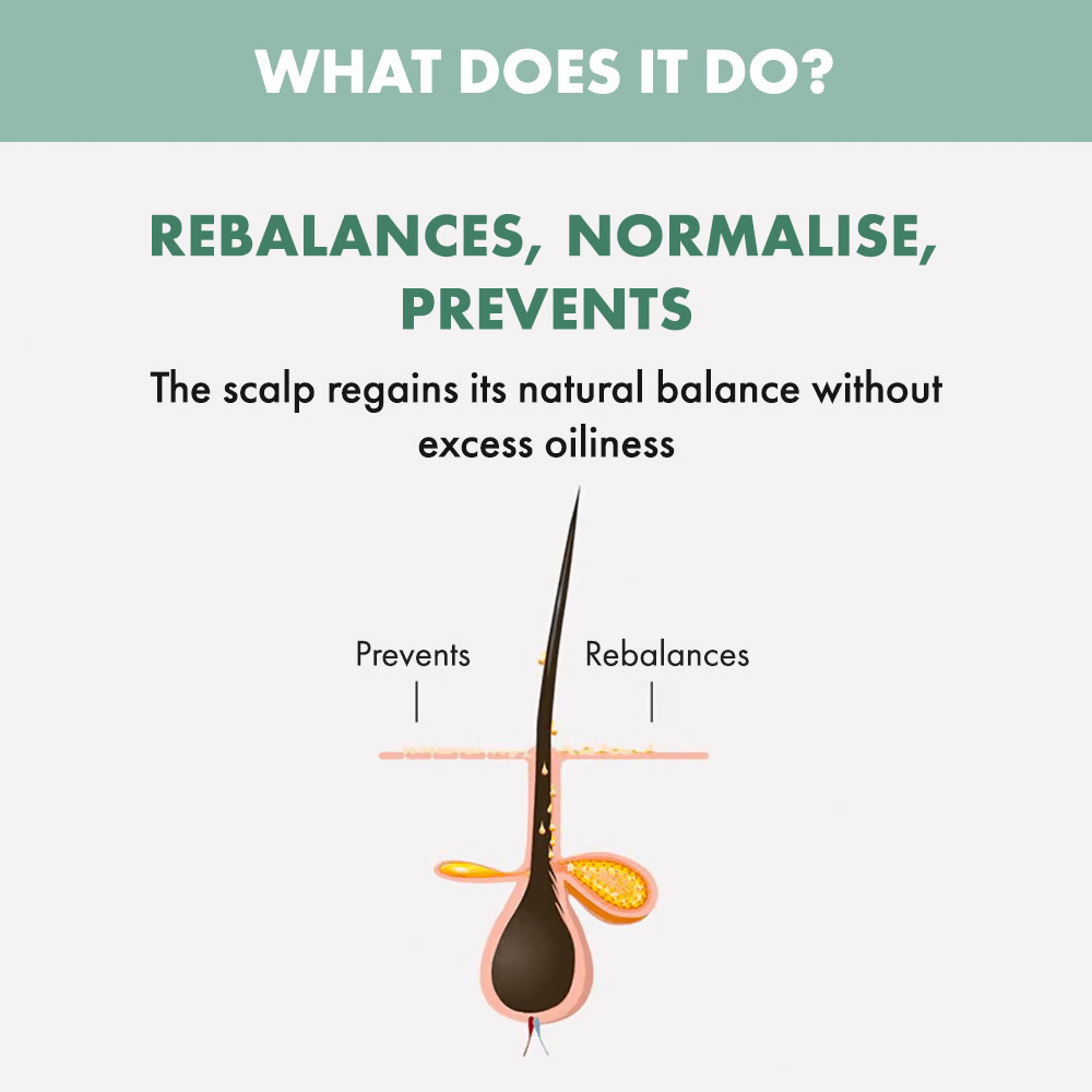 Alfaparf Milano Scalp Rebalance Shampoo For Oily Scalp & Frizzy Hair | Grocsy