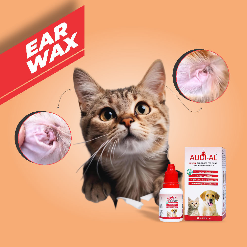 Satya Pharmaceuticals Ayurveda Audi-Al Ear Drops (Veterinary) | Grocsy