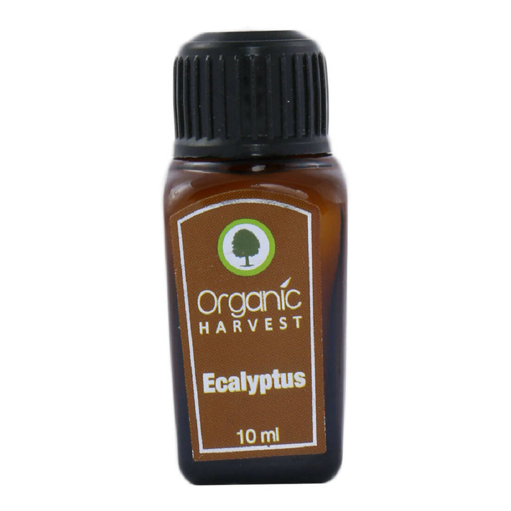 Organic Harvest Eucalyptus Essential Oil | Grocsy