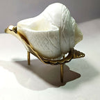Brass Jal Shankha With Stand | Grocsy