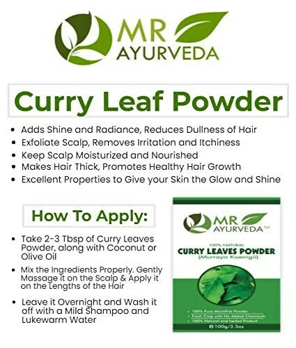 Mr Ayurveda Curry Leaves Powder | Grocsy