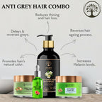 Ivory Natural Grey Hair Advanced Combo (Serum, Shampoo, Cream & Gel) For Both Men & Women | Grocsy