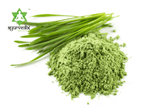 Ayurvedix Organic Wheatgrass Powder | Grocsy