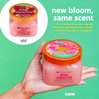 Tree Hut Pink Hibiscus Shea Sugar Scrub | Grocsy