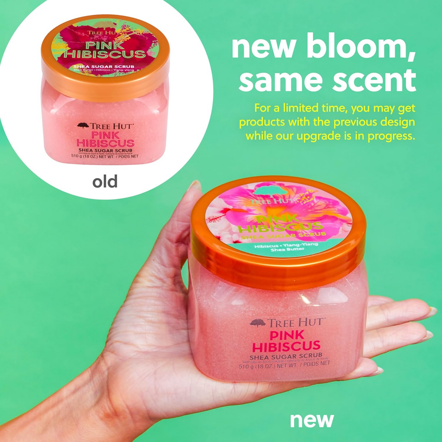 Tree Hut Pink Hibiscus Shea Sugar Scrub | Grocsy