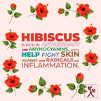 Ningen Hibiscus Hair Pack | Grocsy
