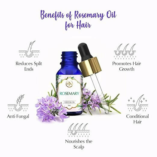The Beauty Co. Rosemary Essential Oil | Grocsy