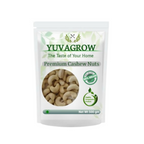 Yuvagrow W-180 Cashew Nuts | Grocsy