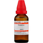 Dr. Willmar Schwabe India Pyrogenium Dilution | Grocsy
